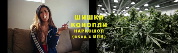 шишки Новый Уренгой