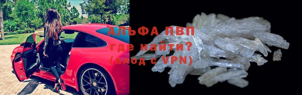 стаф Бородино