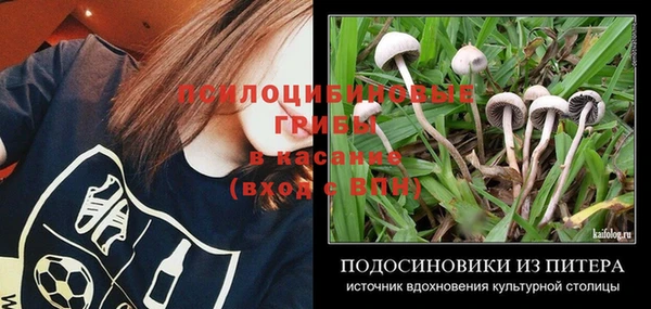 соль ск Бугульма