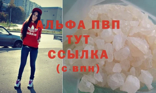 стаф Бородино
