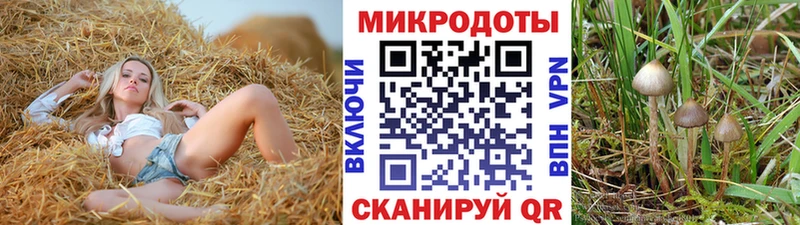 Галлюциногенные грибы мухоморы  наркотики  Бронницы 